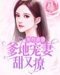 契约宠婚甜如蜜