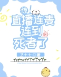 惊,直播连麦连到死者了免费阅读