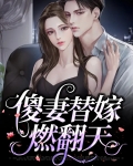 傻妻替嫁txt