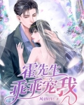 霍先生乖乖宠我