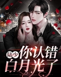 陆少你认错白月光了第九集