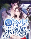 冷少的宠妻