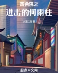 穿越何雨柱辉煌一世的小说