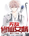 无敌修仙女婿小说