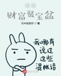 我的财富聚宝盆 风中魔导师