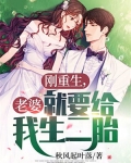 刚重生,老婆就要给我生二胎小说