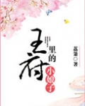 王府里的小娘子 荔箫讲什么