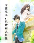 小说免费总裁宠妻别太急