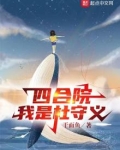 四合院:我是杜守义TXT
