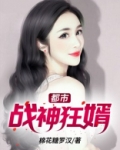 都市战神狂婿沈万夫