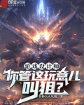 游戏设计师访谈报告