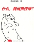 什么我当责任神小说