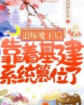 迫嫁魔王后,靠着基建系统篡位了免费阅读