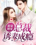 限量婚宠总裁爱妻入骨小说