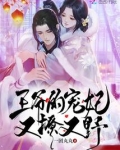 王爷的宠妃又拽又狂