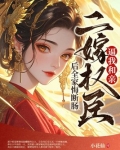 二嫁权臣全文免费阅读txt