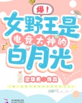 野王电竞第二十五章