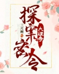 大理寺探案密令