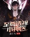 至尊透视神医方浩