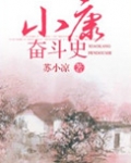 小康奋斗史免费阅读