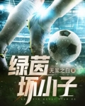 绿茵小子电视剧20集