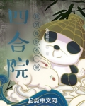 四合院我的身份不一般 铁甲城堡