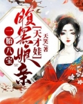 一胎八宝:腹黑娘亲天才娃 小说