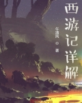 西游记详解视频