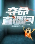 夺命直播间小说