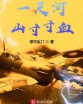 一寸河山一寸血1