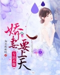 专治不服,娇妻要上天