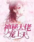 闪婚厚爱,神秘大佬宠上天