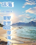 人家海上讨生活,我出海去进货(杰哥不是船长)