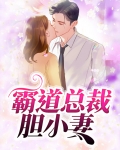 霸道总裁怕老婆小说