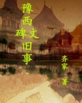 豫西风云之王进升