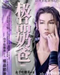 极品奶爸江言