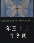 二十三年藏冬青锁章在哪读