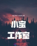 小宝平台