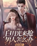 抢走白月光的宠爱