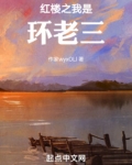 红楼之贾环穿越了 霸王对霸王