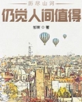 历尽山河,仍觉人间值得的意思