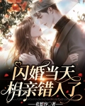错相亲变闪婚