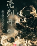 特种兵从亮剑开始520