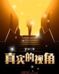 真实视角MOD叫什么