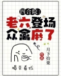 四合院老六登场的小说