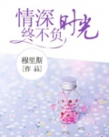 情深终不负时光 小说