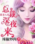 谋妻入局总裁深夜来访全集