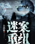 峡谷案重组