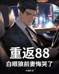 重返1988全文免费阅读正版