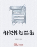 相似的小说